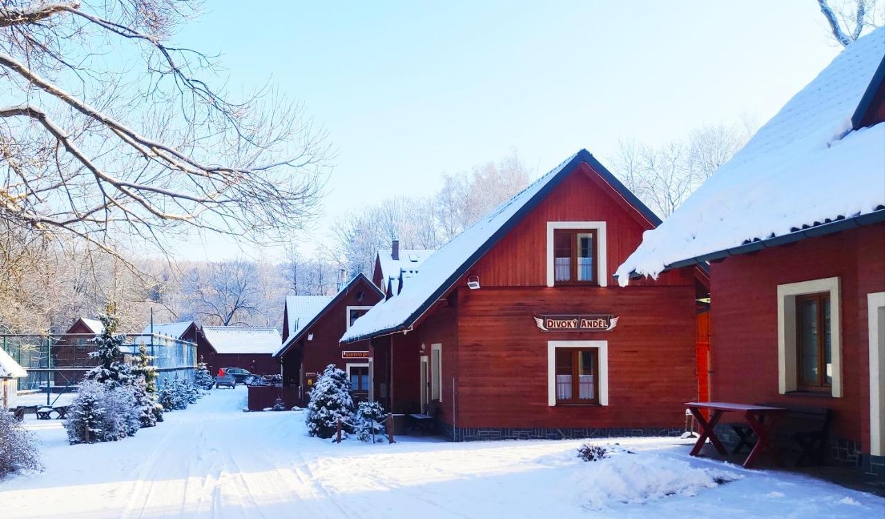 Ve Ski-relax Avalanche Dolni Moravice